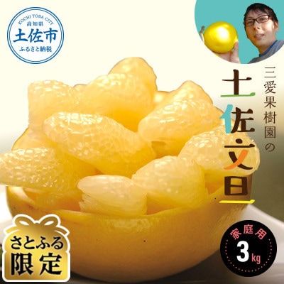 【さとふる限定】三愛果樹園の土佐文旦　家庭用約3kg