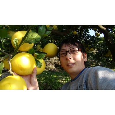 三愛果樹園の土佐文旦　贈答用約3kg