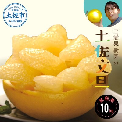 三愛果樹園の土佐文旦　家庭用約10kg