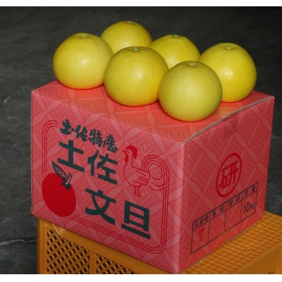 三愛果樹園の土佐文旦　家庭用約10kg