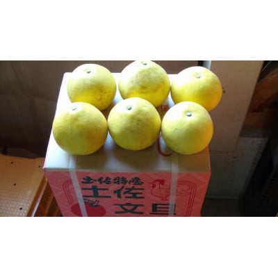 【訳あり】三愛果樹園の土佐文旦約5kg
