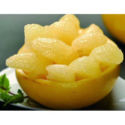 三愛果樹園の土佐文旦(大玉)家庭用約5kg