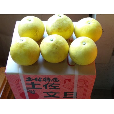 【規格外品】三愛果樹園の土佐文旦約10kg(農家応援商品)