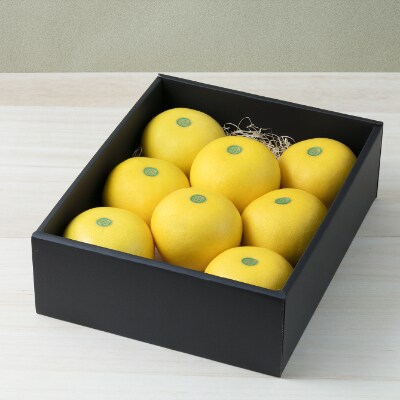 高知産　柑橘【土佐文旦】 秀品　2L  8玉入り　贈答品