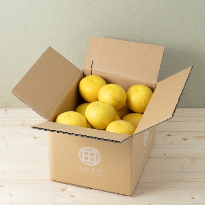 高知産　柑橘【土佐文旦】　2L 21玉入り　家庭品
