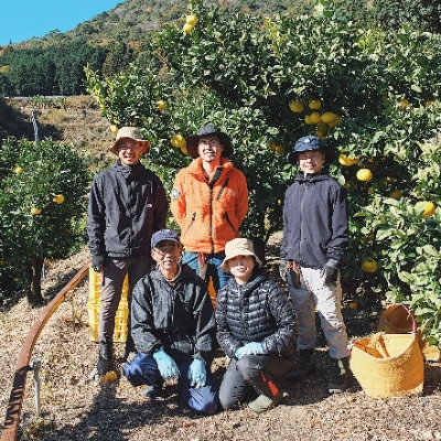 高知産　柑橘【土佐文旦】　2L 21玉入り　家庭品
