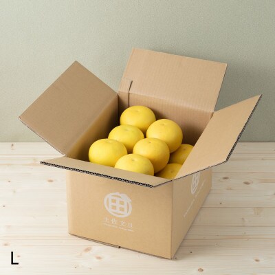 高知産　柑橘【土佐文旦】 L　24玉入り　家庭品