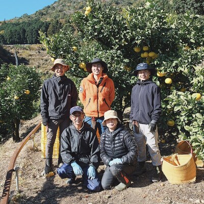 高知産　柑橘【土佐文旦】 L　24玉入り　家庭品