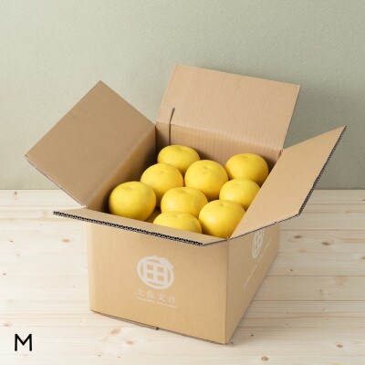 高知産　柑橘　【土佐文旦】 M　30玉入り　家庭品