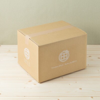 高知産　柑橘　【土佐文旦】 M　30玉入り　家庭品