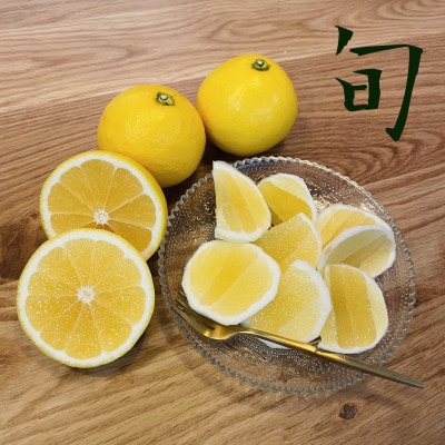 高知産　柑橘【土佐小夏】　Mサイズ　15玉入り　贈答品