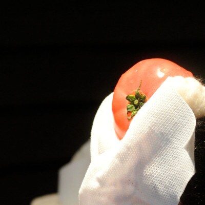 キャンプキッチンクロス 6個セット