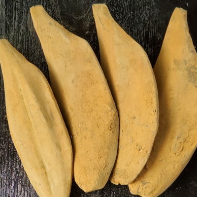 【土佐市製造】枯亀節1kg(4本程)