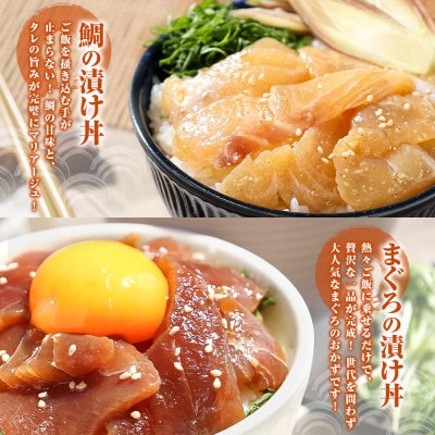 【訳あり】土佐の海鮮漬け丼5種各1袋セット