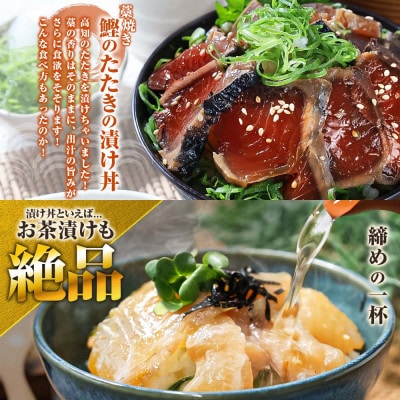 【訳あり】土佐の海鮮漬け丼5種各1袋セット