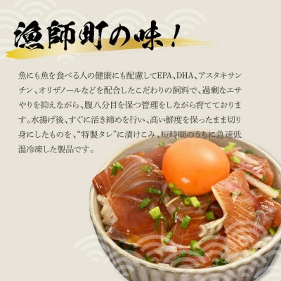 活き締めブリの醤油漬け丼　60g×4パック