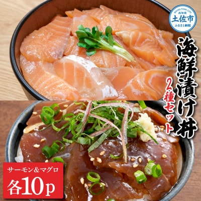 土佐の海鮮漬け丼(サーモン・まぐろ)60g×各10袋セット　合計20袋