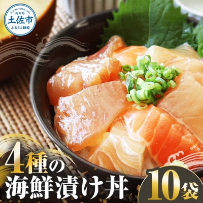 4種の海鮮漬け丼　110g×10袋セット