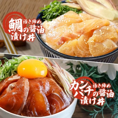 訳あり海鮮漬け丼(タイ6P・カンパチ4P)セット