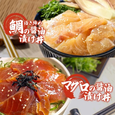 【訳あり】海鮮漬け丼(タイ6袋・マグロ4袋)セット
