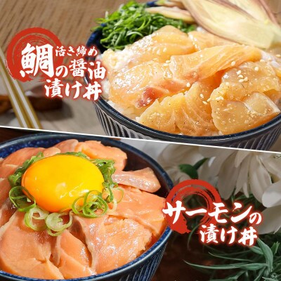 【訳あり】海鮮漬け丼(タイ6P・サーモン4P)セット