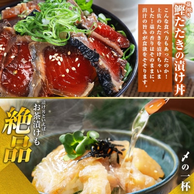 【訳あり】土佐の海鮮漬け丼 5種 各3袋セット 海鮮丼の具