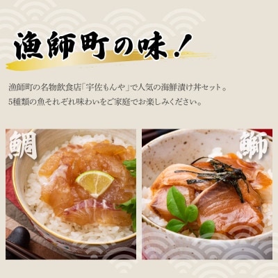 【毎月定期便】訳あり土佐の海鮮漬け丼(5種×各2袋)セット全3回