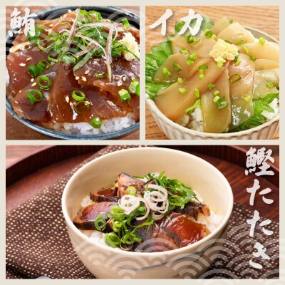 【毎月定期便】訳あり土佐の海鮮漬け丼(5種×各2袋)セット全3回