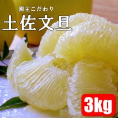 【先行受付:2024年1月下旬～発送予定】園主こだわりの土佐文旦　3kg | ふるさと納税のお礼品