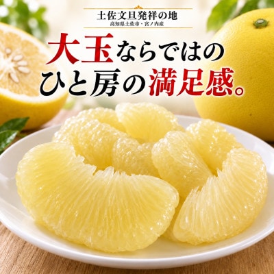 【日本ギフト大賞受賞・先行予約】園主こだわり土佐文旦 大玉3kg 家庭用 高知県土佐市産 やの一果彩