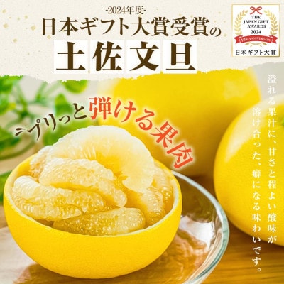 【2026年1月下旬～発送予定】【日本ギフト大賞2024受賞】園主こだわり土佐文旦贈答用 3kg