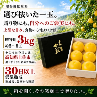 日本ギフト大賞受賞・先行予約 厳選こだわり土佐文旦3kg 化粧箱 ギフト 高知県土佐市産 やの一果彩