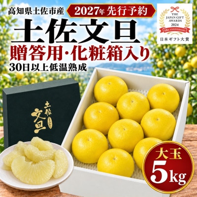 日本ギフト大賞受賞・先行予約 厳選こだわり土佐文旦5kg 化粧箱 ギフト 高知県土佐市産 やの一果彩