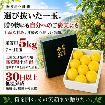 日本ギフト大賞受賞・先行予約 厳選こだわり土佐文旦5kg 化粧箱 ギフト 高知県土佐市産 やの一果彩