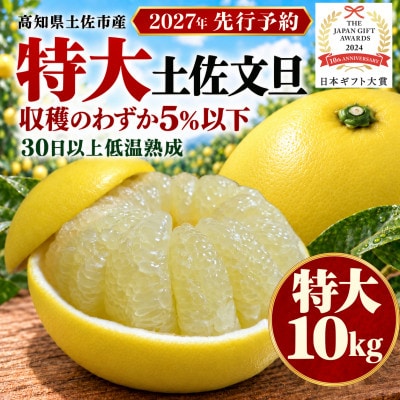 【日本ギフト大賞受賞・先行予約】園主こだわり土佐文旦特大10kg 家庭用 高知県土佐市産 やの一果彩