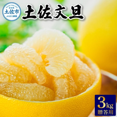 温室土佐文旦　3kg(5玉～6玉)贈答用　　【先行受付】2025年12月上旬から発送予定