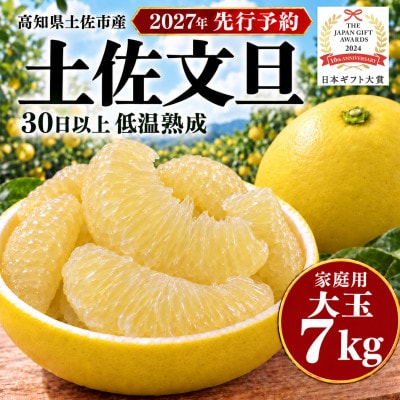 【日本ギフト大賞受賞・先行予約】園主こだわり土佐文旦 大玉7kg 家庭用 高知県土佐市産 やの一果彩