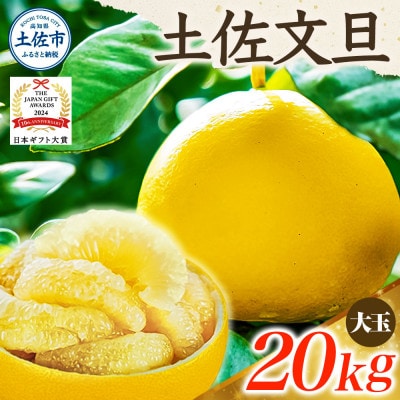 【2026年1月下旬～発送予定】【日本ギフト大賞2024受賞】園主こだわり土佐文旦約20kg