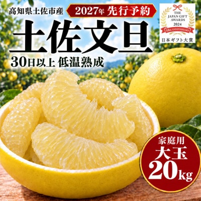 【日本ギフト大賞受賞・先行予約】園主こだわり土佐文旦大玉20kg 家庭用 高知県土佐市産 やの一果彩
