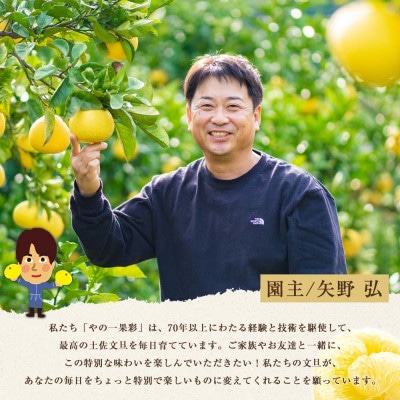 【2026年1月下旬～発送予定】【日本ギフト大賞2024受賞】園主こだわり土佐文旦約20kg