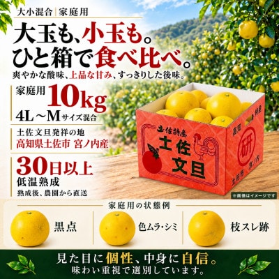 日本ギフト大賞受賞・先行予約 園主こだわり土佐文旦大小混合10kg家庭用 高知県土佐市産 やの一果彩