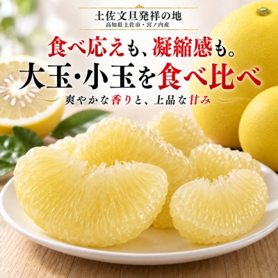日本ギフト大賞受賞・先行予約 園主こだわり土佐文旦大小混合7kg 家庭用 高知県土佐市産 やの一果彩