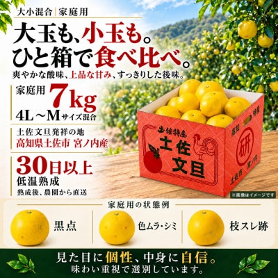 日本ギフト大賞受賞・先行予約 園主こだわり土佐文旦大小混合7kg 家庭用 高知県土佐市産 やの一果彩