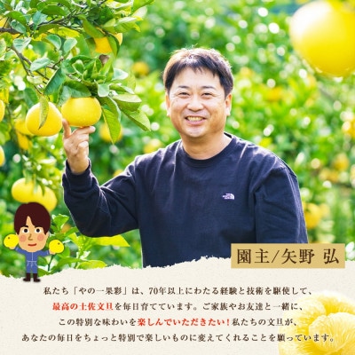 【2026年1月下旬～発送予定・日本ギフト大賞2024受賞】園主こだわり土佐文旦7kg大小混合　
