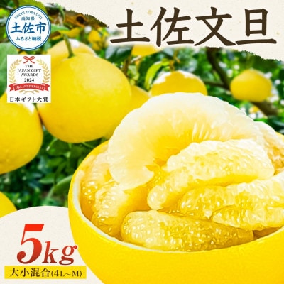 【2026年1月下旬～発送予定】【日本ギフト大賞2024受賞】園主こだわり土佐文旦5kg　大小混合