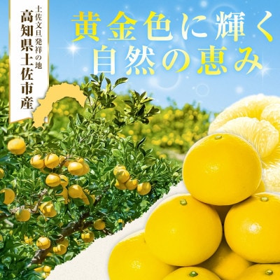 【2026年1月下旬～発送予定】【日本ギフト大賞2024受賞】園主こだわり土佐文旦5kg　大小混合