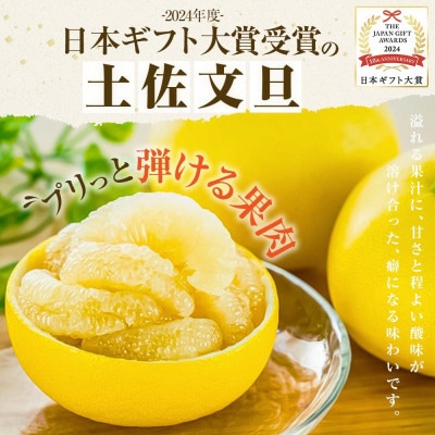 【2026年1月下旬～発送予定】【日本ギフト大賞2024受賞】園主こだわり土佐文旦5kg　大小混合