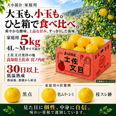 日本ギフト大賞受賞・先行予約 園主こだわり土佐文旦大小混合5kg 家庭用 高知県土佐市産 やの一果彩