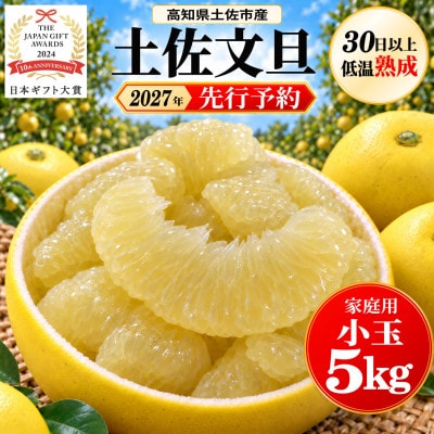 【日本ギフト大賞受賞・先行予約】園主こだわり土佐文旦 小玉5kg 家庭用 高知県土佐市産 やの一果彩