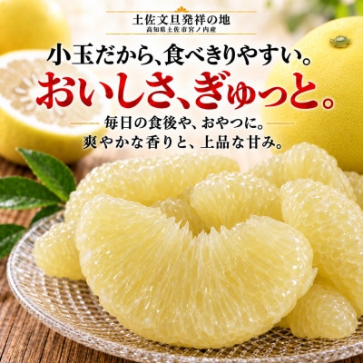 【日本ギフト大賞受賞・先行予約】園主こだわり土佐文旦 小玉5kg 家庭用 高知県土佐市産 やの一果彩